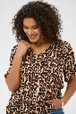 2218059_50345.webp